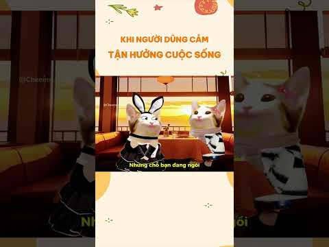 Khi người dũng cảm tận hưởng cuộc sống | Cheems zui zẻ