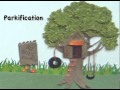 Riparian Zone Ecology Concepts