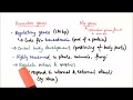 Homeobox Genes and Their Functions