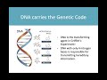 DNA Structure and Function Concepts