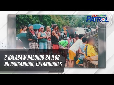 3 kalabaw nalunod sa ilog ng Panganiban, Catanduanes | TV Patrol