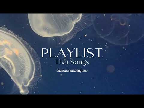 Playlistรวมเพลงไทยเศร้าฉันยังรักเธออยู่เลย☆♡:เพลงไทย