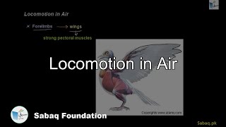 Locomotion in Air