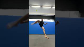 TORNADO KICK!!!