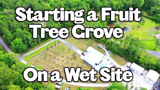 Dream Homestead in FL: Raising the Ground to Combat Wet Soils!