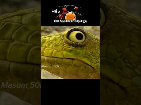 লাল আর কালো পিপঁড়ার মধ্যে মহাযুদ্ধ #movie #3danimation