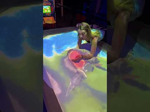 The Magic Sandbox!