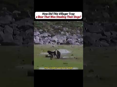 #handwork #Manufacturing #Build #Creativity #Repair #DIY #challenge #Treasurehunt #animalworld