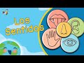 Explorando los Sentidos Humanos