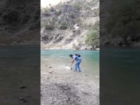 #fishing