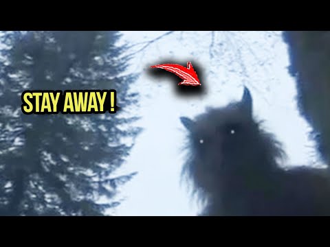 CAPTURED In the DEEP WOODS Of Oregon