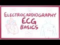 Understanding ECG and Heart Function