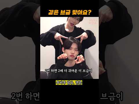 이 브금이 저렇게 쓰는거였어..?