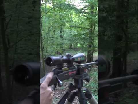 "Red Deer Down in Seconds – Quick Shot Hunting!"#RedDeerHunting#FastHunt#QuickShot