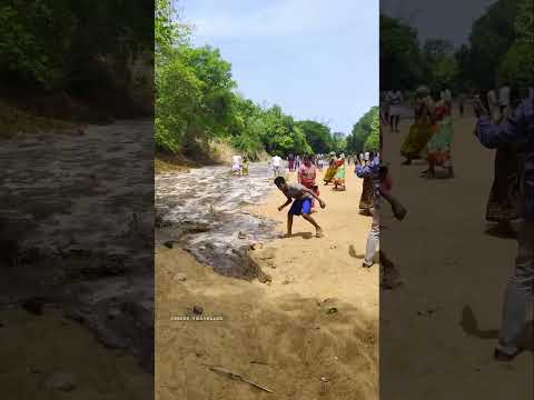 பொங்கி வரும் காவிரியை தெய்வமாக வழிபடும் டெல்டா மக்கள…