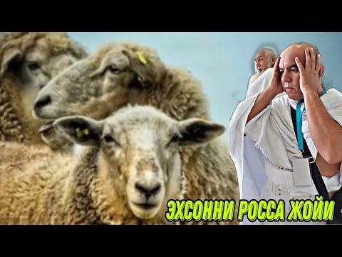 КУРБОНЛИКГА КОДИР ЭМАСМИСИЗ ??? ОХУНОВ ТВ