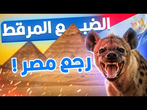 الضبع المرقط ظهر في مصر بعد 5 آلاف سنة