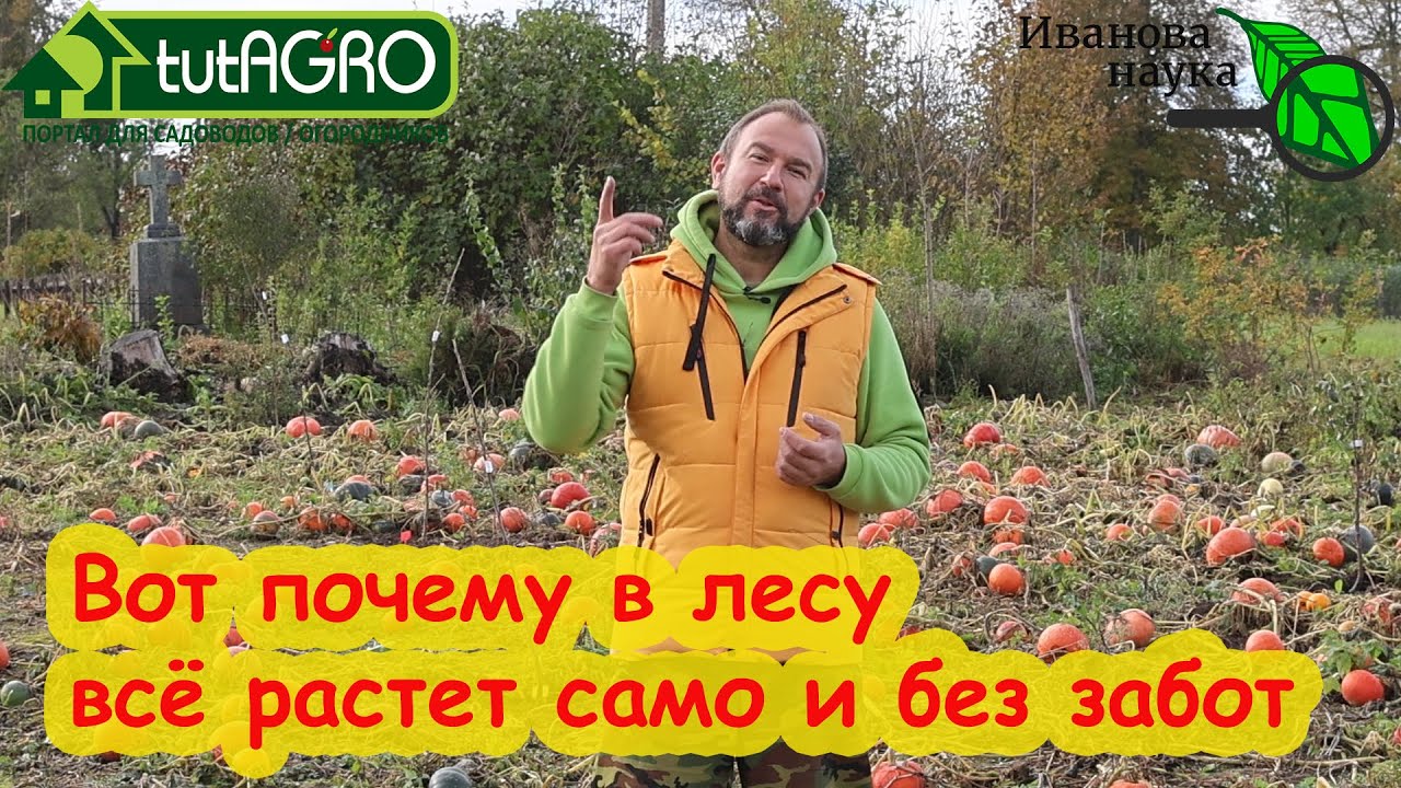 Народ хочет знать! Почему в природе все растет само, а в огороде надо все-время что-то делать?