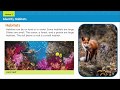 Habitat Diversity and Adaptations