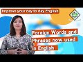 Understanding Foreign Phrases in English