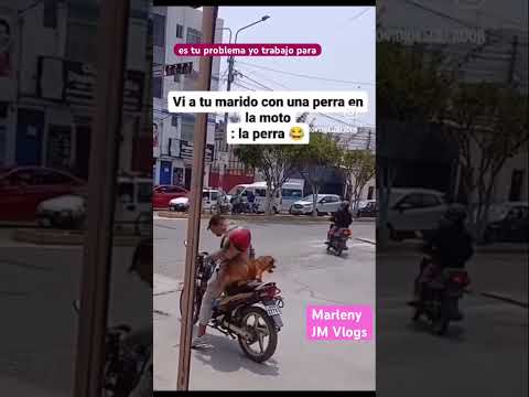 Cuando te pillan con la perra #parati #humor #tiernos #parati #shortsviral #mismascotas