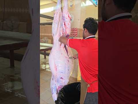 Camel stomach cleaning expert skills fast cutting video #shorts #shortsfeed #viralvideo
