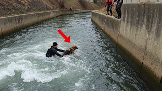 The Way This Animal Asked for Help… Left Everyone Speechless