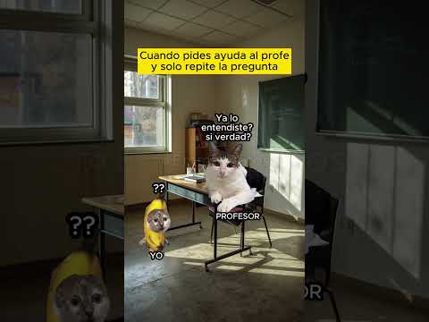 gracias por nada :,v (meme de gatos)
