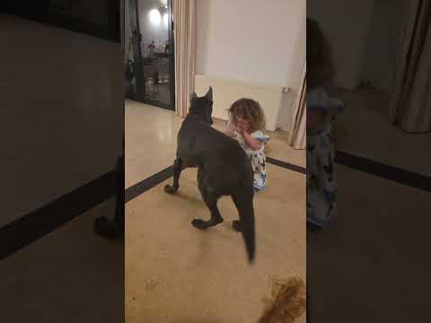 click to play the video