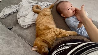 赤ちゃんが生まれて忙しそうなママを見た猫がこうなっちゃいました