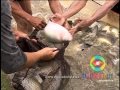 Propiedad y Medio Ambiente en los Andes