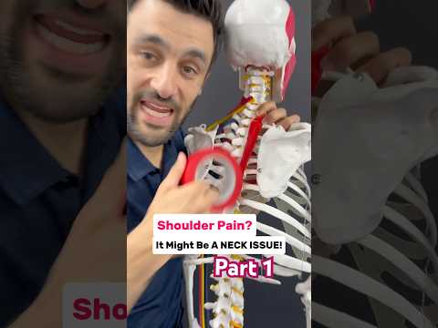 Part 1 - Achy shoulder and arm? Try this! #neckpain #shoulderpain #physicaltherapy #chiropractor