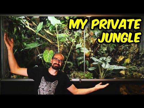 LONG OVERDUE Maintenance in Junglearium!