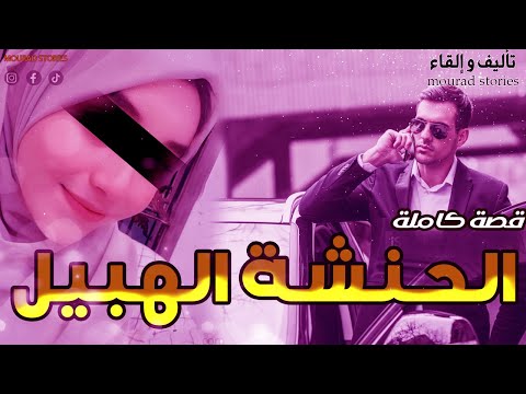 قصة الحنشة الهبيل-------قصة كاملة-------