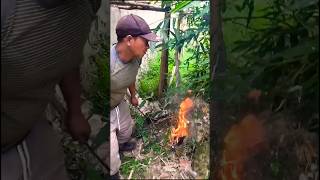 Cara Paling Mudah Membasmi Pohon Mambu Sampai Tidak Tumbuh Lagi #fypシ #shorts #viralvideo