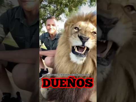 Mascotas que Asesinaron o se comieron a sus dueños | Parte 9