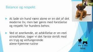 Separationsangst hos hunde: Naturlig stress eller et problem?