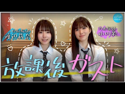 【日向坂・渡辺×乃木坂・小川】放課後ガストでJKトーク【乃木坂配信中コラボ後編】
