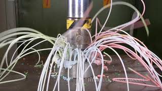 Candle Worms! (Hydraulic Press)
