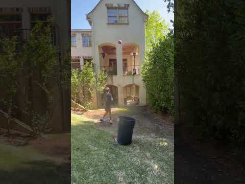 Off the house into the trash can #shorts