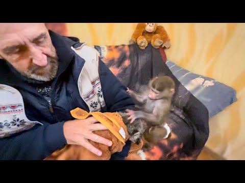 ВЕСЕЛО! Люська помогает Владу СУШИТЬ носушонка Соню и устроила себе СТОЛОВУЮ на папиной голове