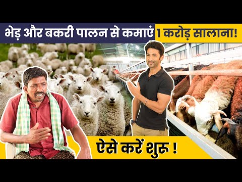 भेड़ और बकरी पालन की पूरी जानकारी। Investment and Profit of Sheep and Goat Farming in Hindi