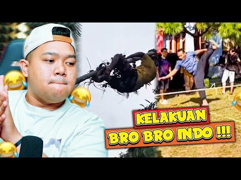 PARA BRO YANG SANGAT LUCU   || MEME  EPS  334