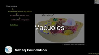 Vacuoles