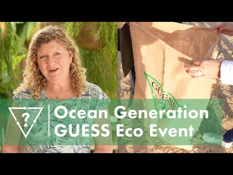 Ocean Generation: Behind the Global Movement | GUESS Advocacy