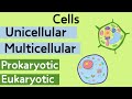 Understanding Cell Theory