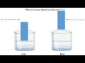 Litmus Paper Reactions and Properties