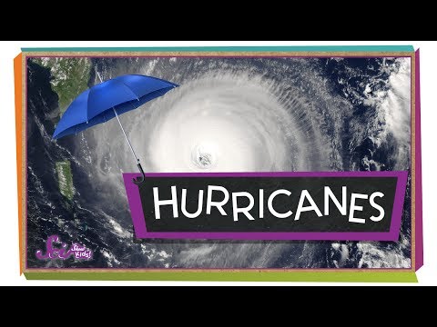 What's a Hurricane? | Weather Science | SciShow Kids - YouTube(4:09)