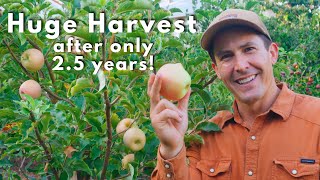 First Ever Home Orchard Tour!
