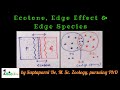 Ecological Borders and Patches Concepts